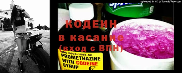 ПСИЛОЦИБИНОВЫЕ ГРИБЫ Арсеньев
