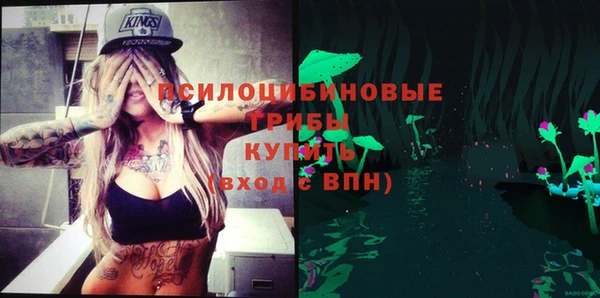 ПСИЛОЦИБИНОВЫЕ ГРИБЫ Арсеньев
