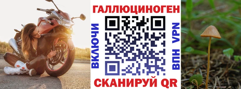 ссылка на мегу ТОР  Новотроицк  Галлюциногенные грибы ЛСД 